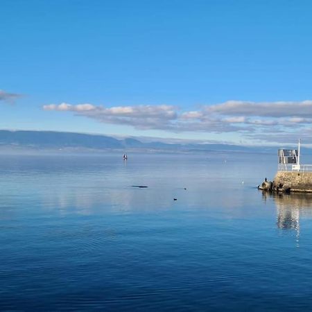 Le Boreal Daire Thonon-les-Bains Dış mekan fotoğraf
