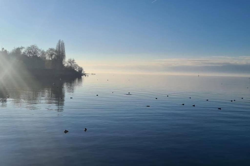 Le Boreal Daire Thonon-les-Bains Dış mekan fotoğraf